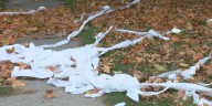 “T.P.” warning issued in northeast Iowa town