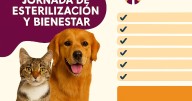 Atención gratuita para tus mascotas este 9 de septiembre en La Victoria: esterilización, vacunas y más