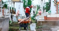 Limpian y podan el cementerio municipal