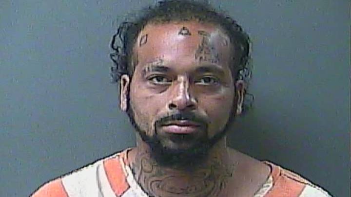 Wanted Kalamazoo man bitten by K9 Simba following vehicle pursuit in La Porte County