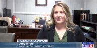 New Angelina County District Attorney Amy Wren seeks to clear case backlog