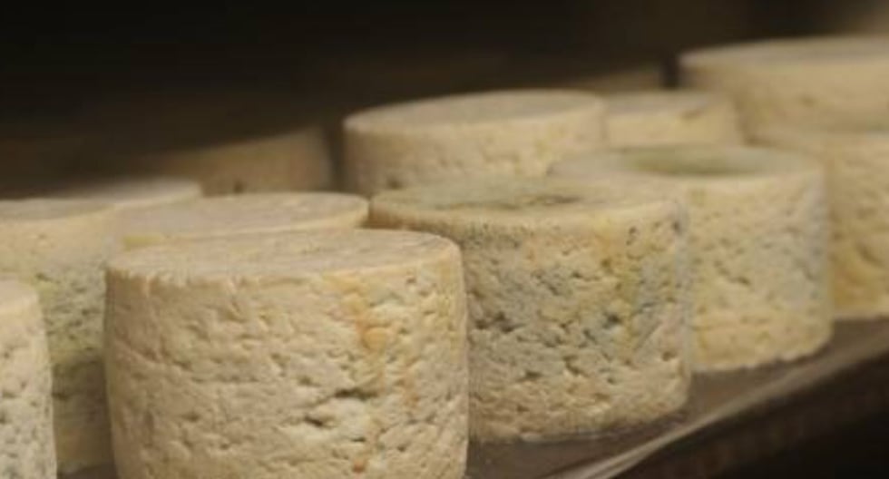 Comer para vivir: Cómo se transforma la leche en queso