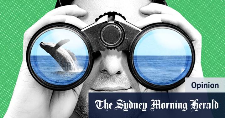 Whale watching: “Do you see what I see? (And more importantly, is it a whale?)”