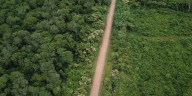 Comunidad indígena Shawi dice “no” a construcción de carretera en Loreto: temen invasión, deforestación y daño ambiental