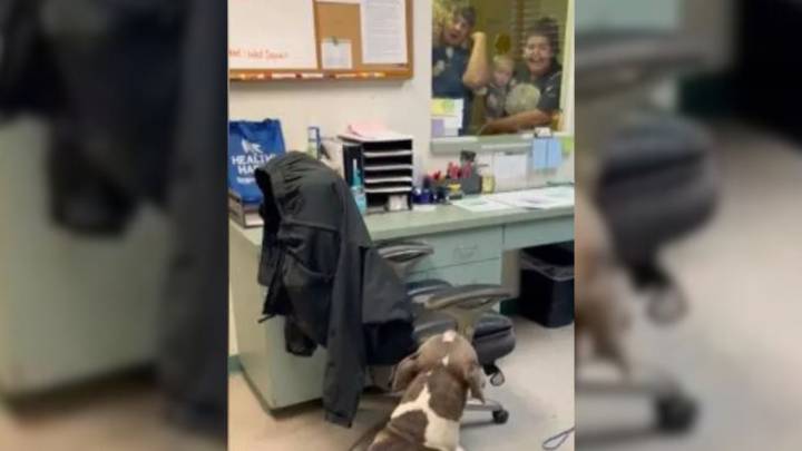 Florida Family Reunited After Their Dog Went Missing For 10 Months, All Thanks To A Microchip