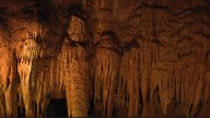 Mammoth Cave National Park contributes over $73 million to local economy