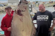 New Hampshire Boy Catches 177-Lb. Fish That May Set New World Record: Photos