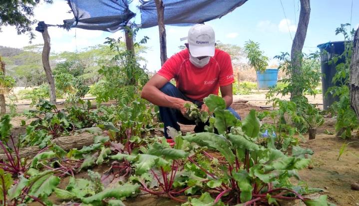Seguridad alimentaria en Colombia: desafíos, oportunidades y soluciones desde territorios