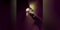 Video captures moment three people fall of bridge at Shoshone Ice Caves