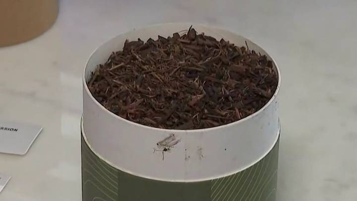 NJ now allows ‘human composting' after death. This woman says it changed everything