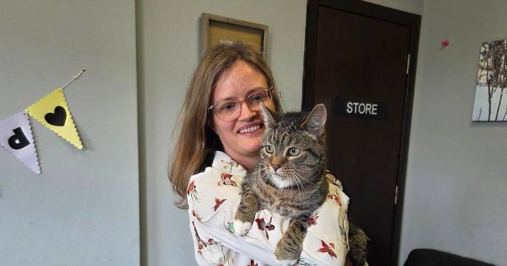 Family 'stunned' after being reunited with cat 9 years after he vanished