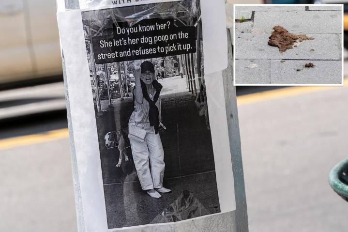 Mystery NYC s–t stirrer refuses to pick up dog's poop on UES as fuming neighbors plaster her pic all over town