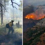 Firefighter killed in line of duty during Dragon Bravo Fire