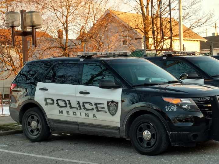 Man dumps dog at city park: Medina Police Blotter