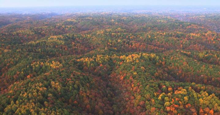 Fall in love with Music City with this September event guide!