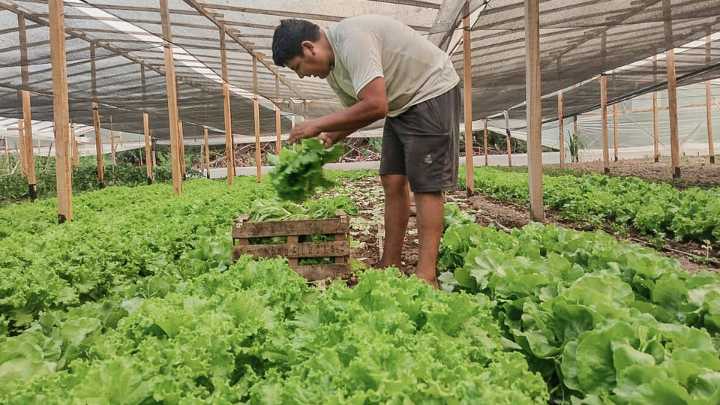 El impacto negativo para el agro