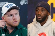 Ex-World Champ Who Beat Terence Crawford in Amateurs Rallies for Canelo Alvarez Rematch Former two-division titleholder, who bested Terence Crawford in the amateurs, views a Canelo rematch as the idea