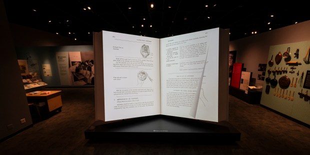 Five things to know about the Julia Child exhibit at the MN History Center