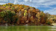 Here's when can you expect fall colors to peak in Kentucky