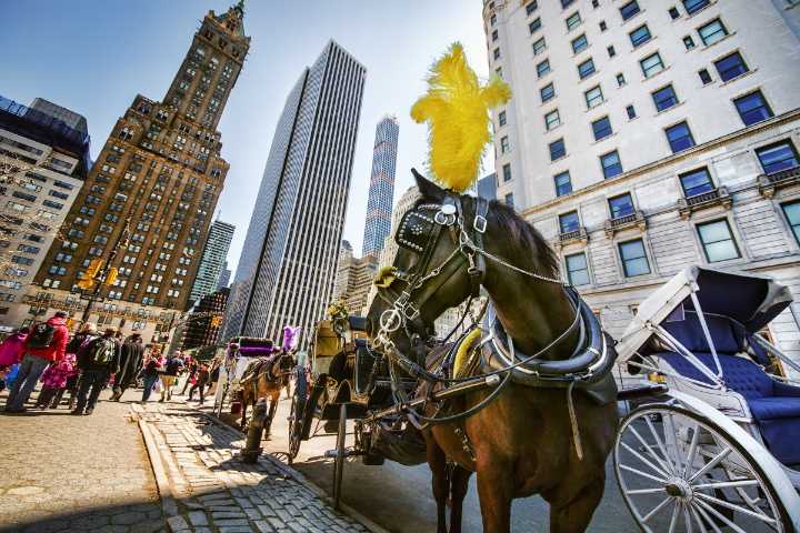Central Park’s Infamous Horse Carriages Face Final Days — Mayor Adams Demands Ban From City Council