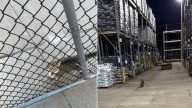 Lowe’s Worker In Indiana Was Startled By Noise Outside The Store Only To Realize What Is Causing It