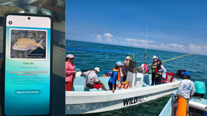 Impulsa Conapesca agenda en territorio en Tamaulipas y Yucatán