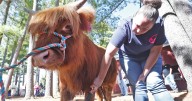 Fair play: Long-running Deerfield Fair returns