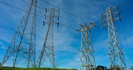 Veinte alcaldes de Ñuble, Maule y Biobío se unen contra línea eléctrica: Reclaman impacto para campesinos y bosque amenazado