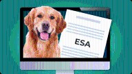 5 ESA Letter Sites to get your Emotional Support Animal Letter