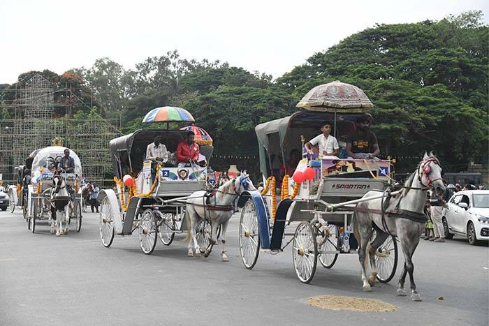 Couples enjoy Tonga Ride