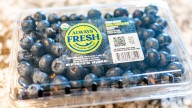 The Best Place To Store Berries In Your Fridge For Maximum Nutrition