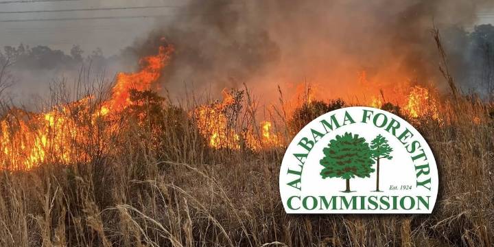 Alabama Forestry Commission issues statewide Fire Danger Advisory