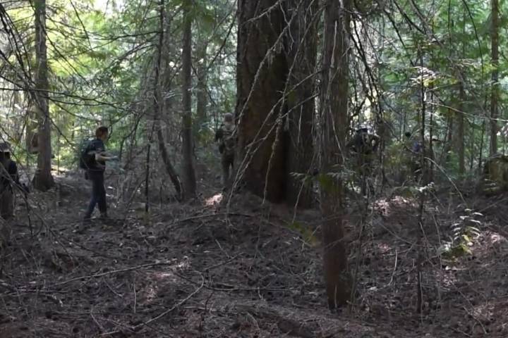 FBI Confirms Animal Bones in Rock Island Search