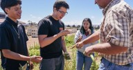 Mark Richardson CTE Center to highlight corn, careers, community on Farm Day Saturday