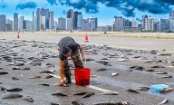La extraña “lluvia de peces” que sorprende cada año a un pueblo