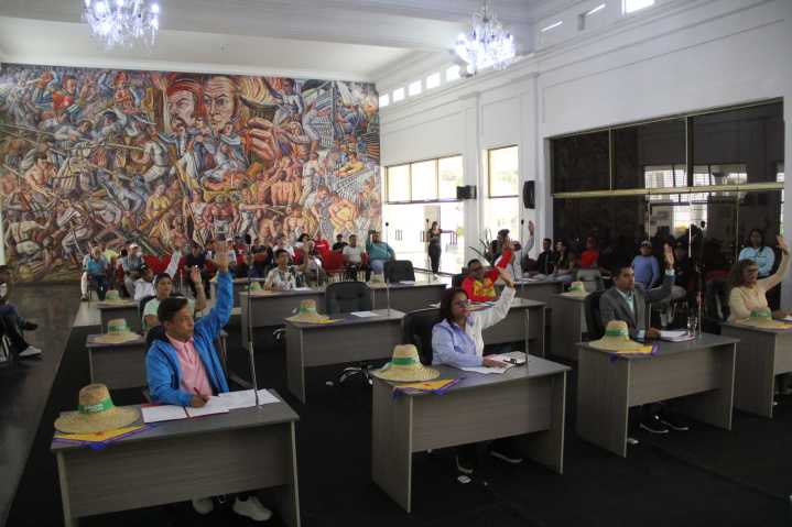 Admitido proyecto de reforma de Ley de Convivencia Ciudadana de Aragua