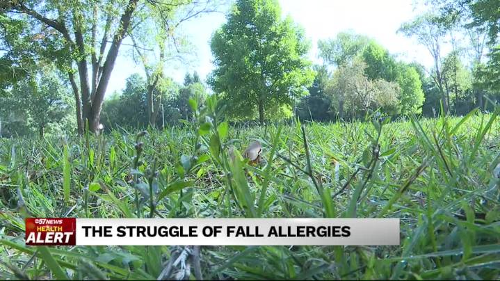 Dry, warmer weather to contribute to allergies during fall season