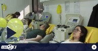 Cómo donar plasma y ser solidario