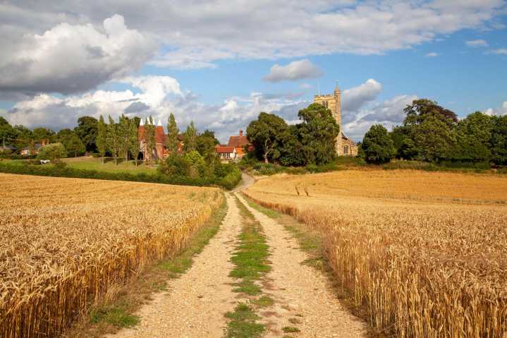 Agromenes: Why is our tax money not being spent on British food?