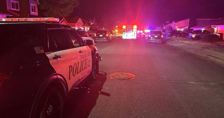 Victim identified in South Hill double homicide