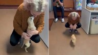 Kansas Woman Grieved Her Dog For Two Years, Then Came The Message That Changed Everything