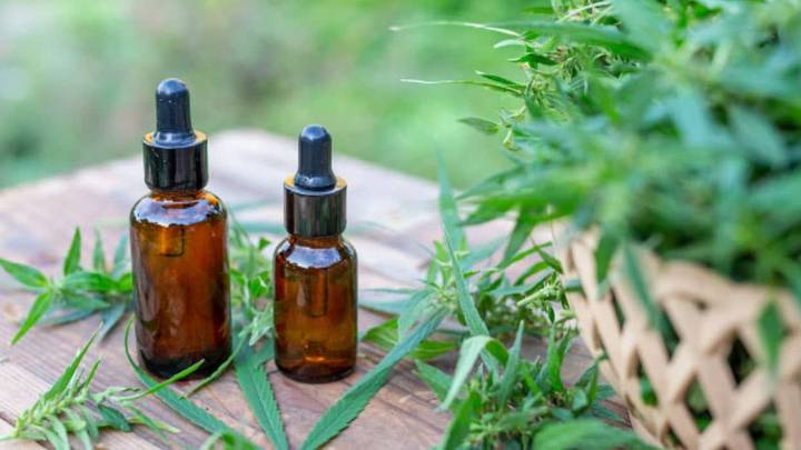 Mendoza puso en marcha el Registro de Cannabis Medicinal y un régimen de licencias