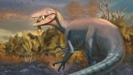 Scientists Discover A New Dinosaur From Argentina Science News