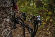 Is $200 a bargain for a big buck? North Ridgeville City Council questions deer hunting changes