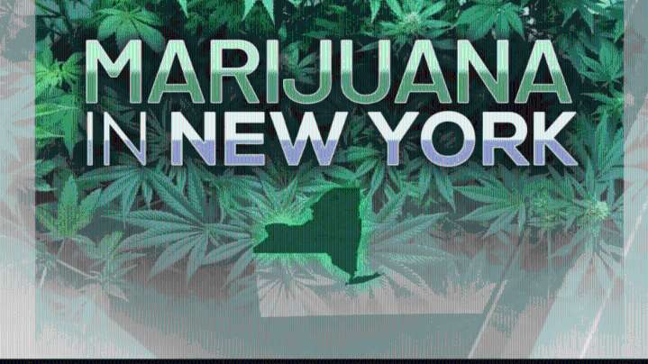 New York cannabis retail sales reach $1.06B for 2025 so far