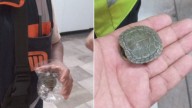 Metro CDMX: Detienen servicio en Línea 2 para rescatar una tortuga, reportan retrasos de hasta 20 minutos