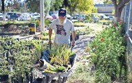 Abre Faciatec vivero al público