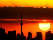 Half of young adult residents consider leaving Toronto
