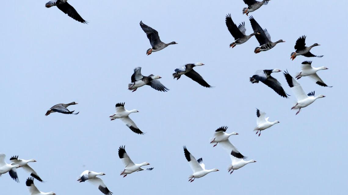 Texas hunters -- there are changes this year that TPWD wants you to know about