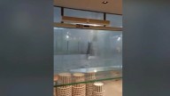Sombrillas volando, árboles caídos y rachas de viento de 100 kilómetros por hora: un fuerte temporal desata el pánico en Xàtiva